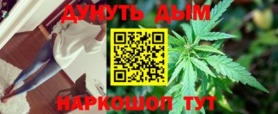 наркотики Новозыбков