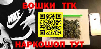 тгк Новодвинск