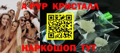 тгк Новодвинск