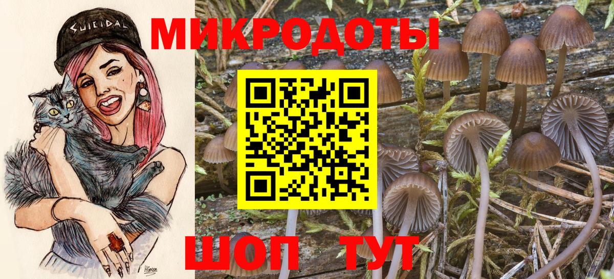 Галлюциногенные грибы ЛСД Сосновоборск
