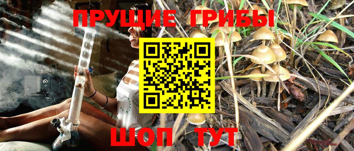 Меф МЯУ МЯУ   ГАШ  МЕТАМФЕТАМИН  Вход с VPN  Сосновоборск  МАРИХУАНА  LSD-25 